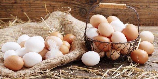 Eier sind nicht nur zur Osterzeit ein beliebtes Lebensmittel. Bild: Nitr/Adobe Stock